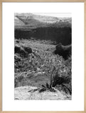 View of a valley in ...