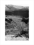 View of a valley in ...