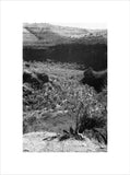 View of a valley in ...