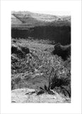 View of a valley in ...