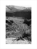 View of a valley in ...