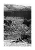 View of a valley in ...
