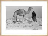Standing full length portrait of ...