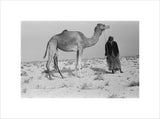 Standing full length portrait of ...