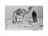 Standing full length portrait of ...