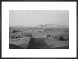 View of a camel belonging ...