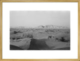 View of a camel belonging ...