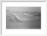 View of high rippled dunes ...