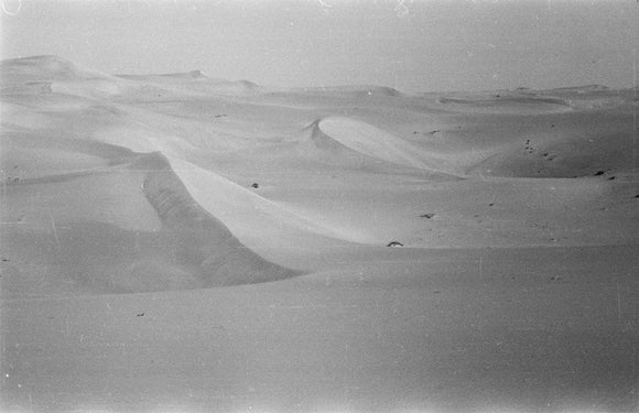 View of high rippled dunes ...