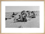 Sheikh Zayed bin Sultan Al ...