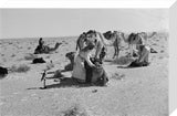 Sheikh Zayed bin Sultan Al ...
