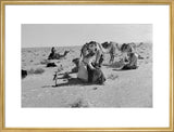 Sheikh Zayed bin Sultan Al ...