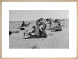 Sheikh Zayed bin Sultan Al ...