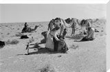 Sheikh Zayed bin Sultan Al ...