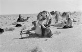 Sheikh Zayed bin Sultan Al ...