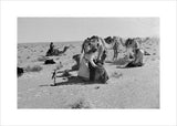 Sheikh Zayed bin Sultan Al ...