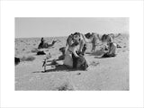 Sheikh Zayed bin Sultan Al ...