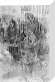 Men of Wilfred Thesiger's travelling ...