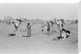 View of three members of ...