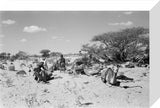 View of Wilfred Thesiger's party ...