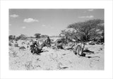 View of Wilfred Thesiger's party ...