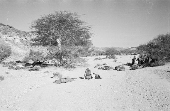 Wilfred Thesiger's party making camp ...