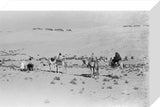 View of three members of ...