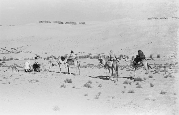 View of three members of ...