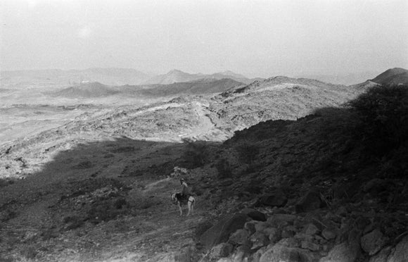 View of man riding a ...