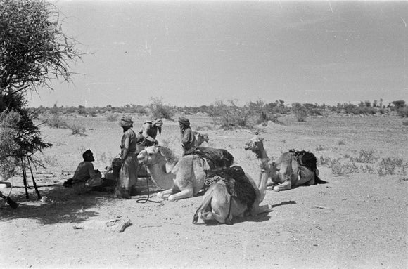 View of Wilfred Thesiger's travelling ...