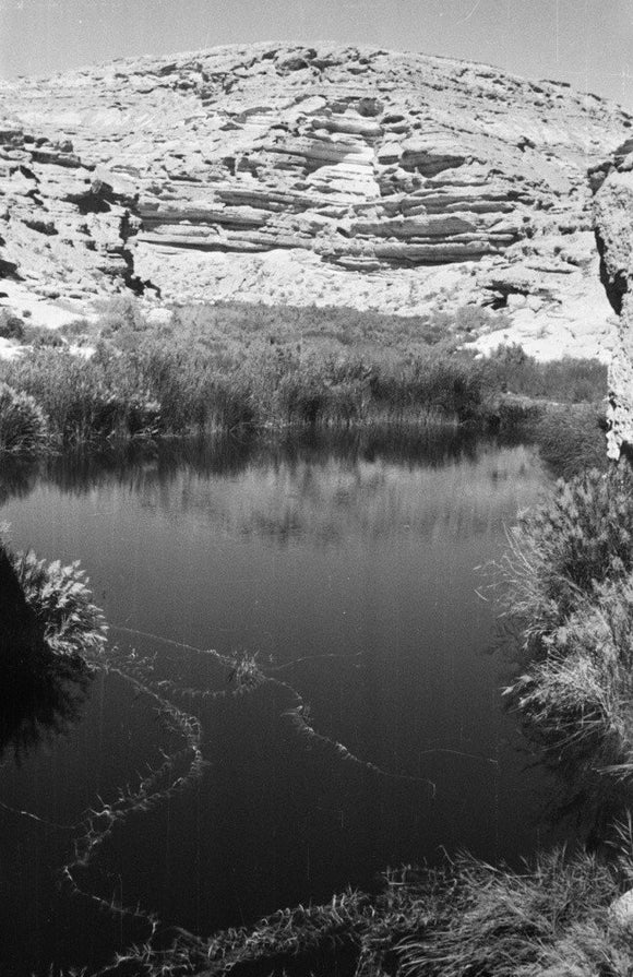 A pool of water in ...