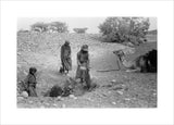 Wilfred Thesiger's party filling water-skins ...