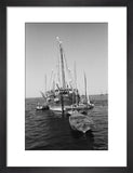 Stern view of dhows moored ...