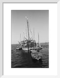 Stern view of dhows moored ...