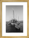 Stern view of dhows moored ...