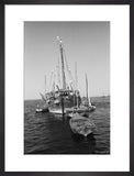 Stern view of dhows moored ...