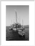 Stern view of dhows moored ...