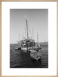 Stern view of dhows moored ...