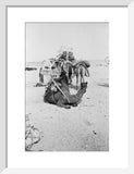 View of a family of ...