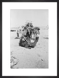 View of a family of ...