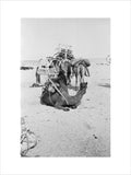 View of a family of ...