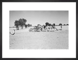 View of Wilfred Thesiger's party ...