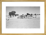 View of Wilfred Thesiger's party ...