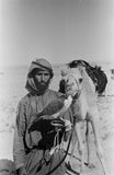 Portrait of an Arab falconer ...