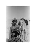 Portrait of an Arab falconer ...