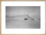 View of Wilfred Thesiger's travelling ...
