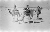 View of three members of ...