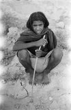 Portrait of a boy of ...