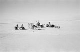 View of Wilfred Thesiger's party ...