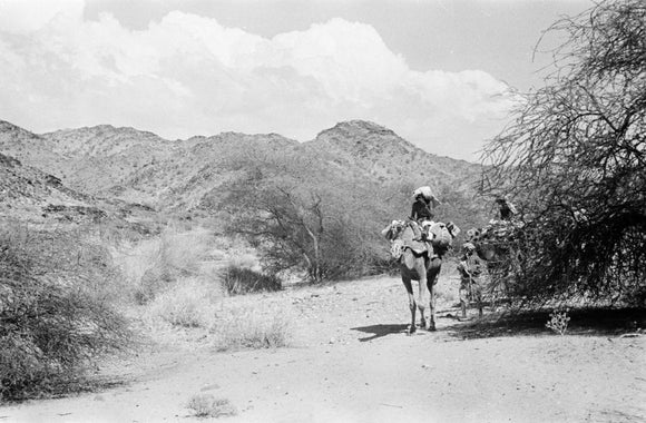View of Wilfred Thesiger's travelling ...